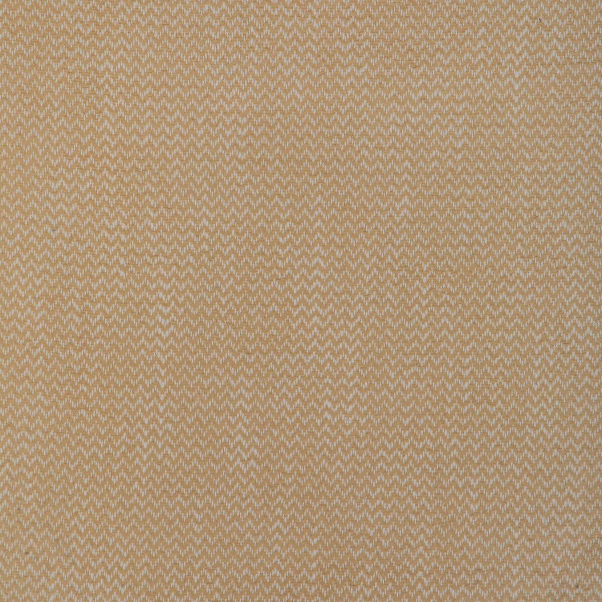 Kravet Smart-37341-1161