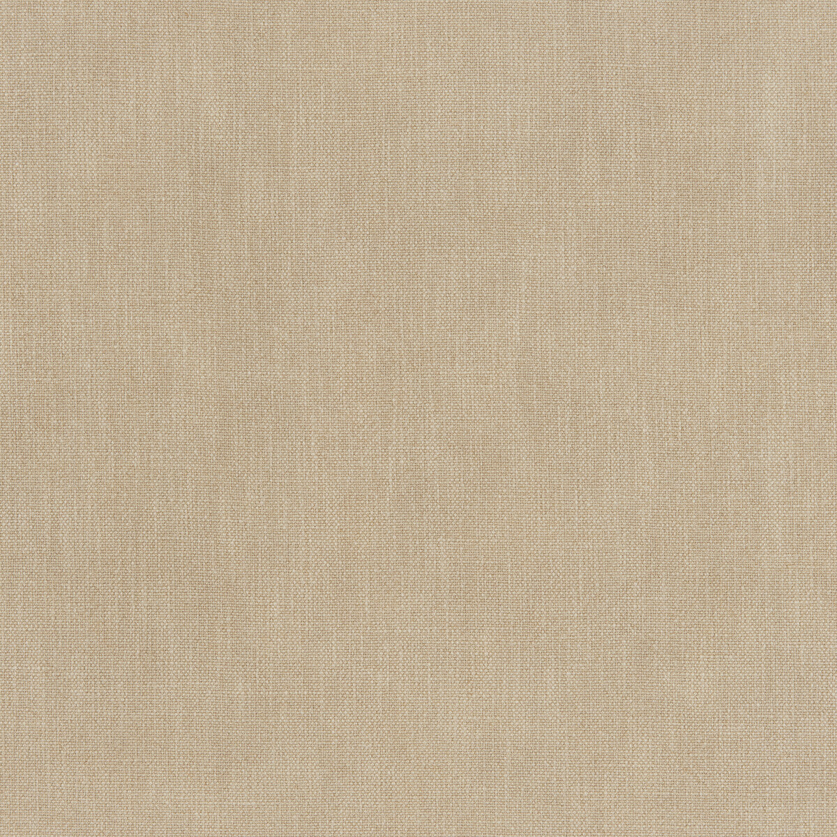 Vero-Parchment