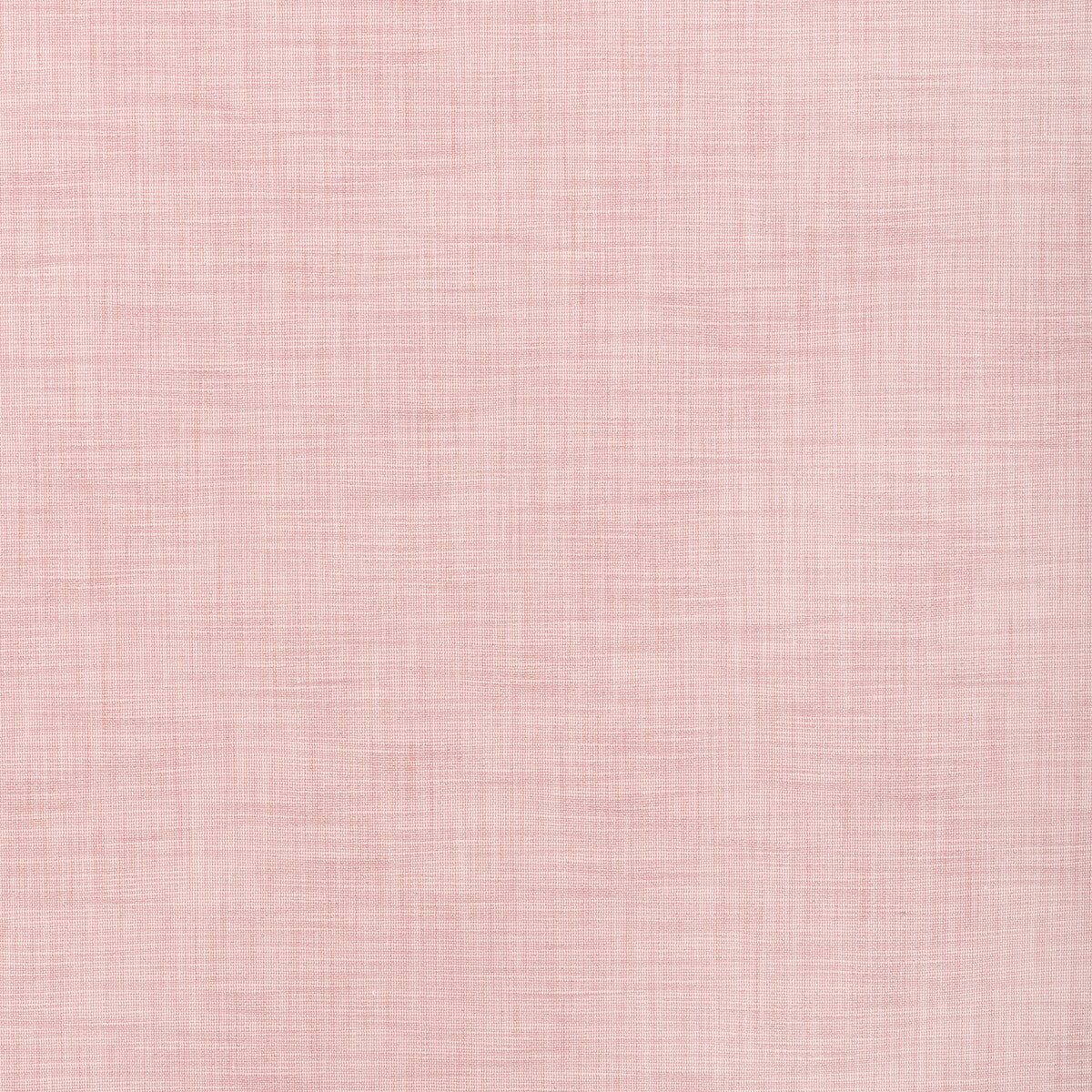 Tikka Texture-Blush