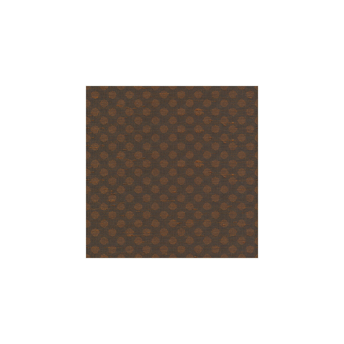 Kravet Basics-3810-66