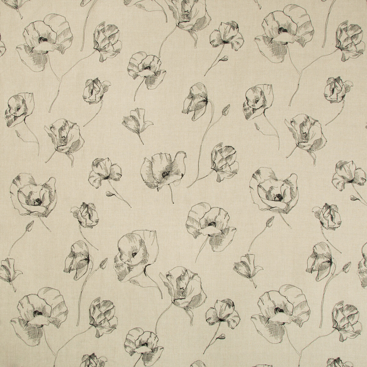 Field Notes-Natural/Noir