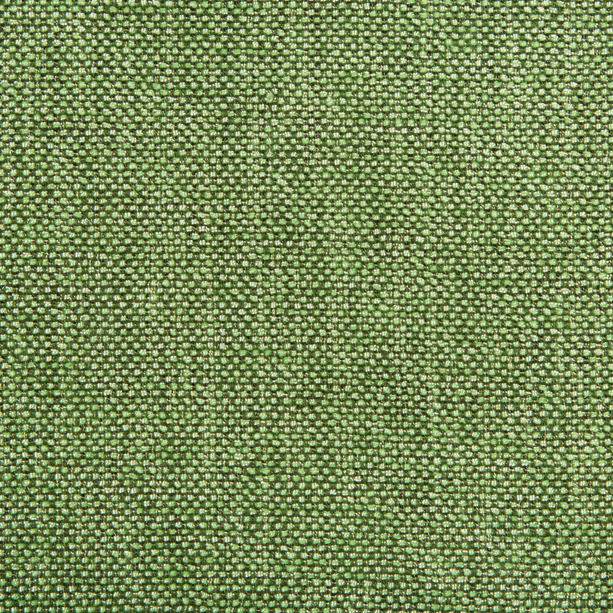 Kravet Contract-4458-323