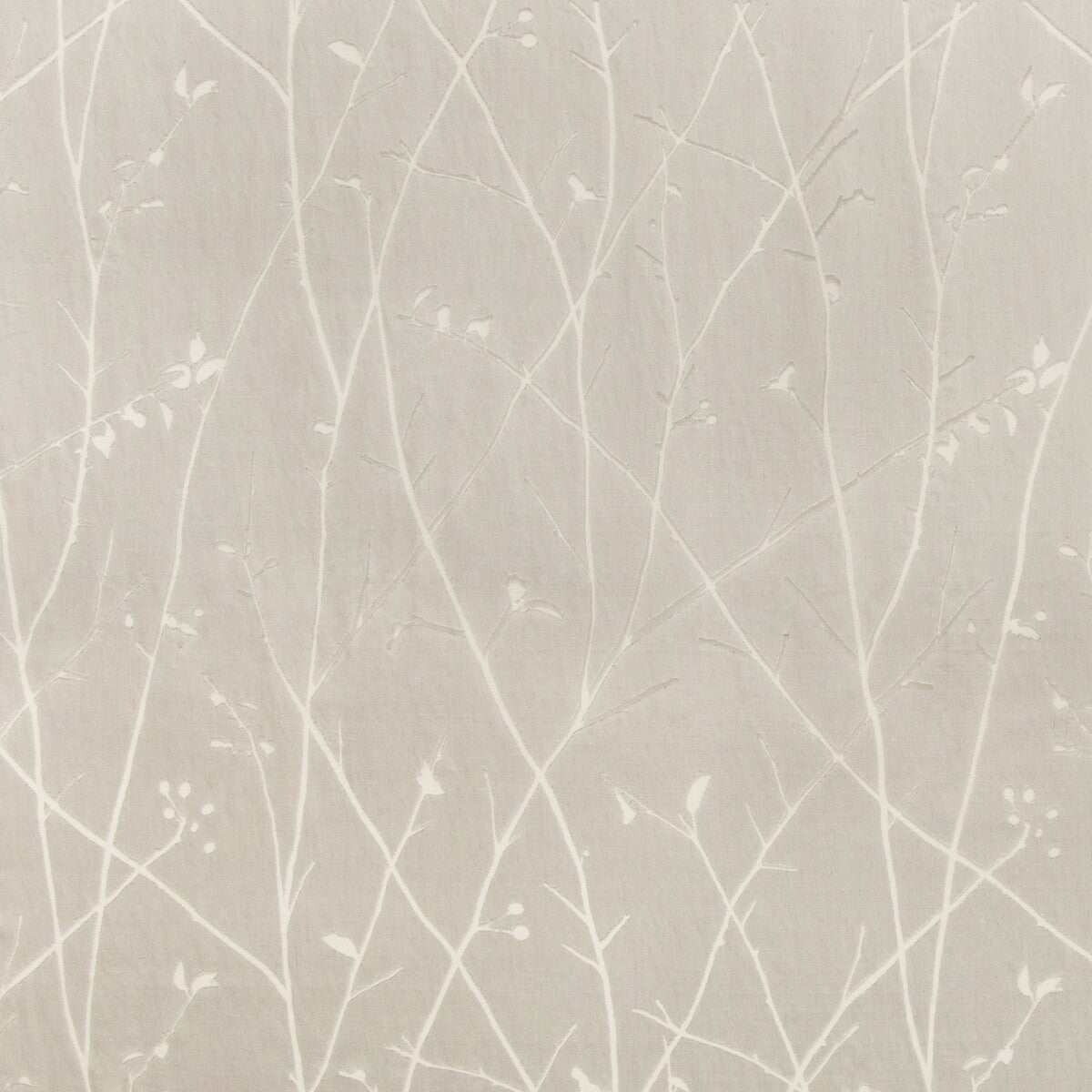 Ramus-Silver
