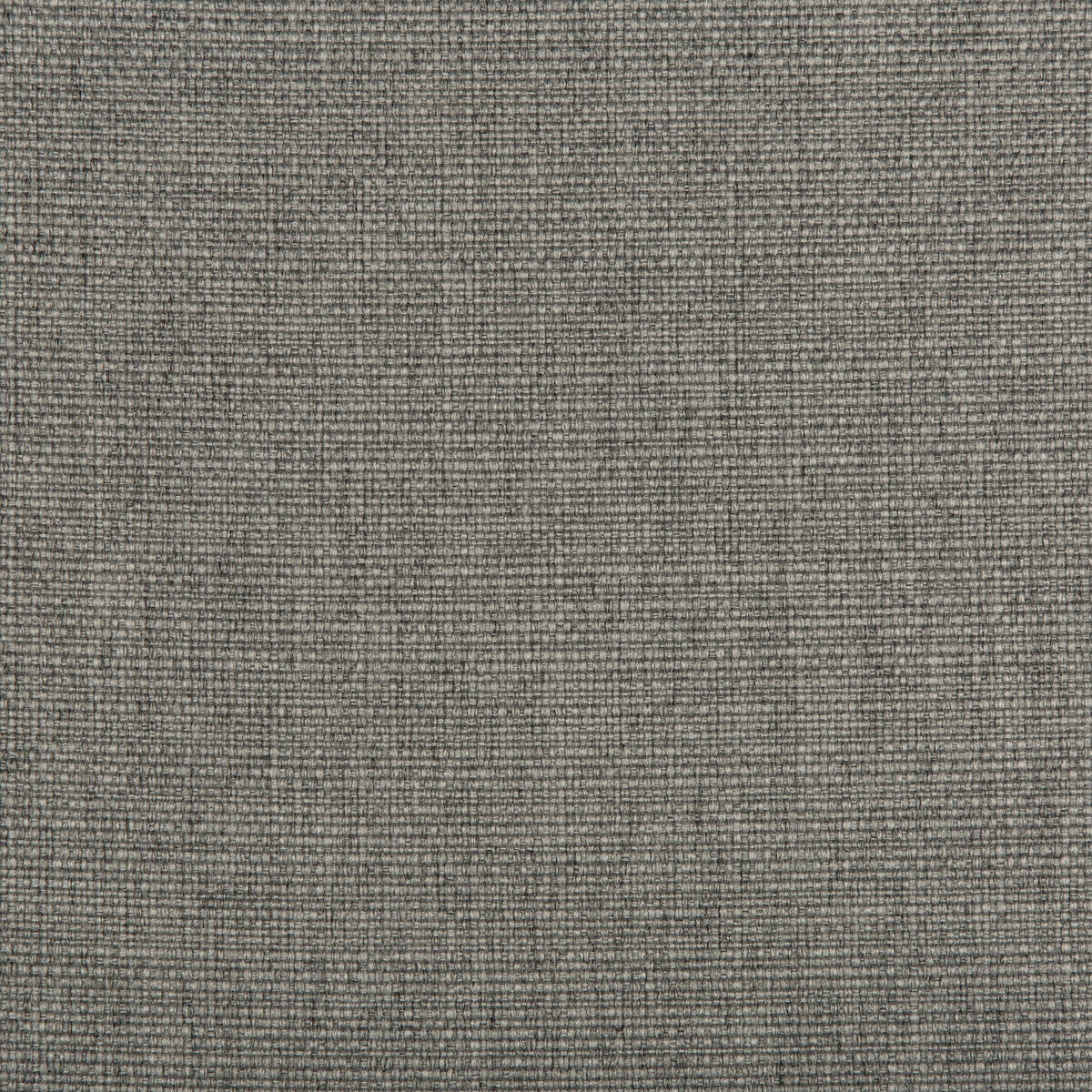 Kravet Contract-4641-21