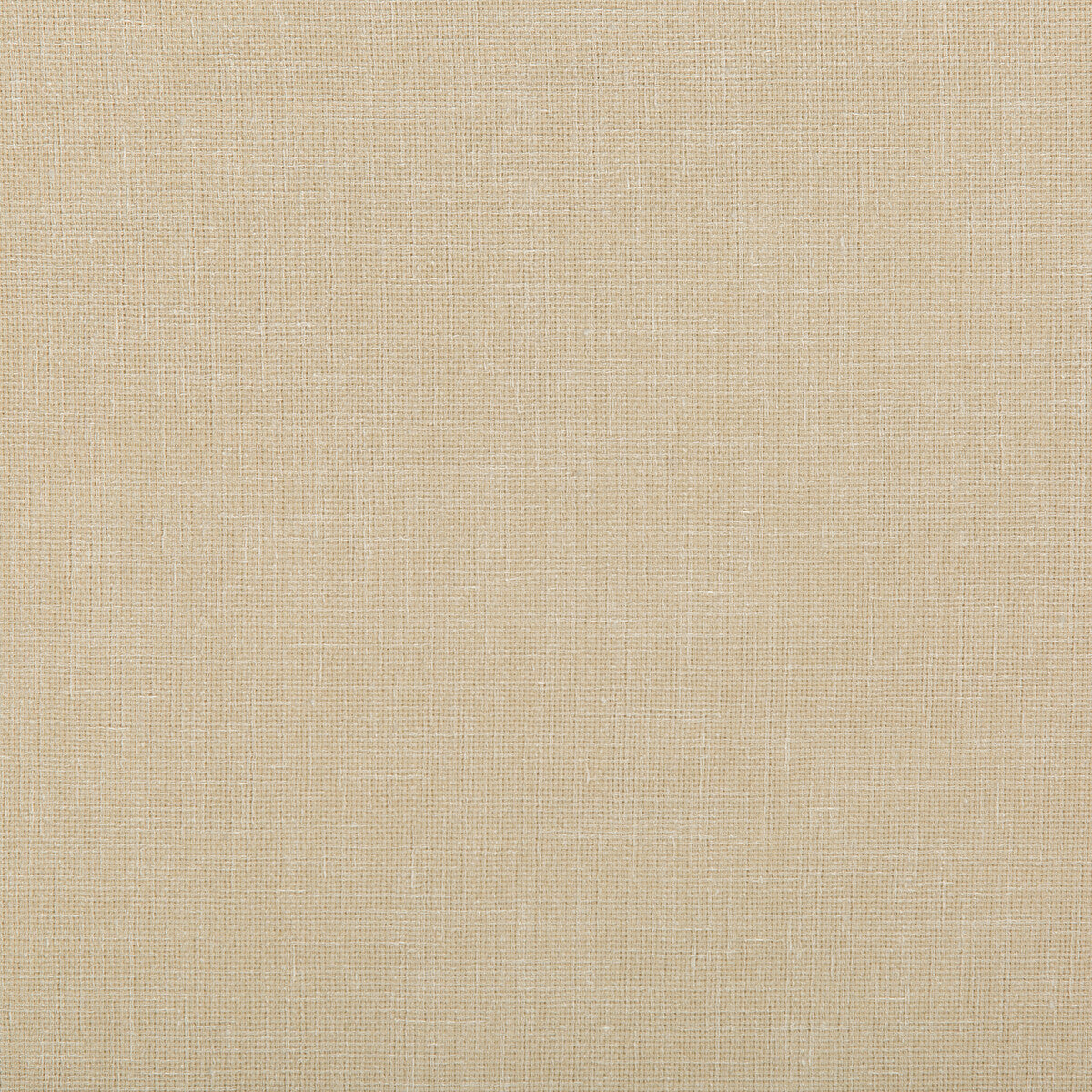 Kravet Contract-4644-1