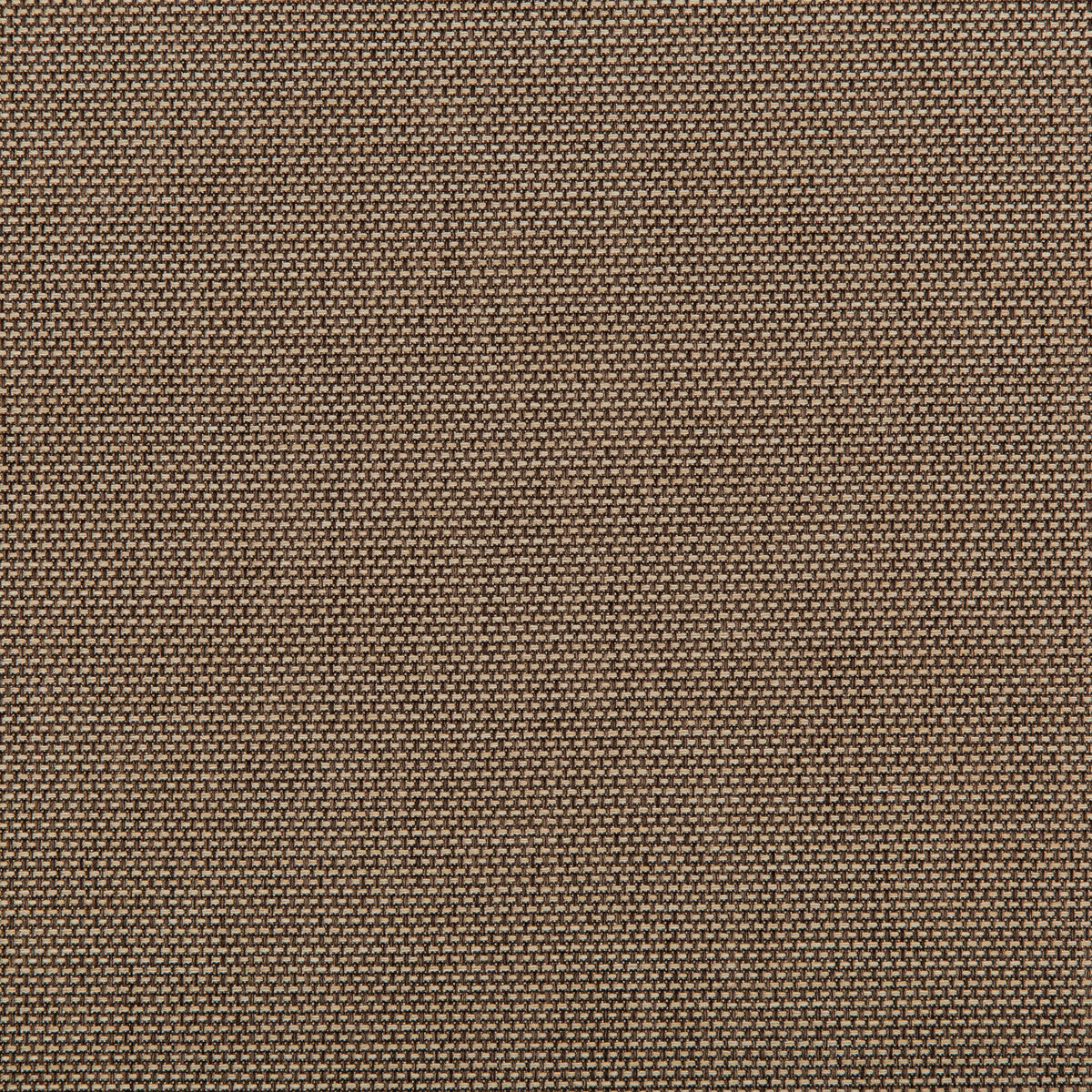Kravet Contract-4645-106
