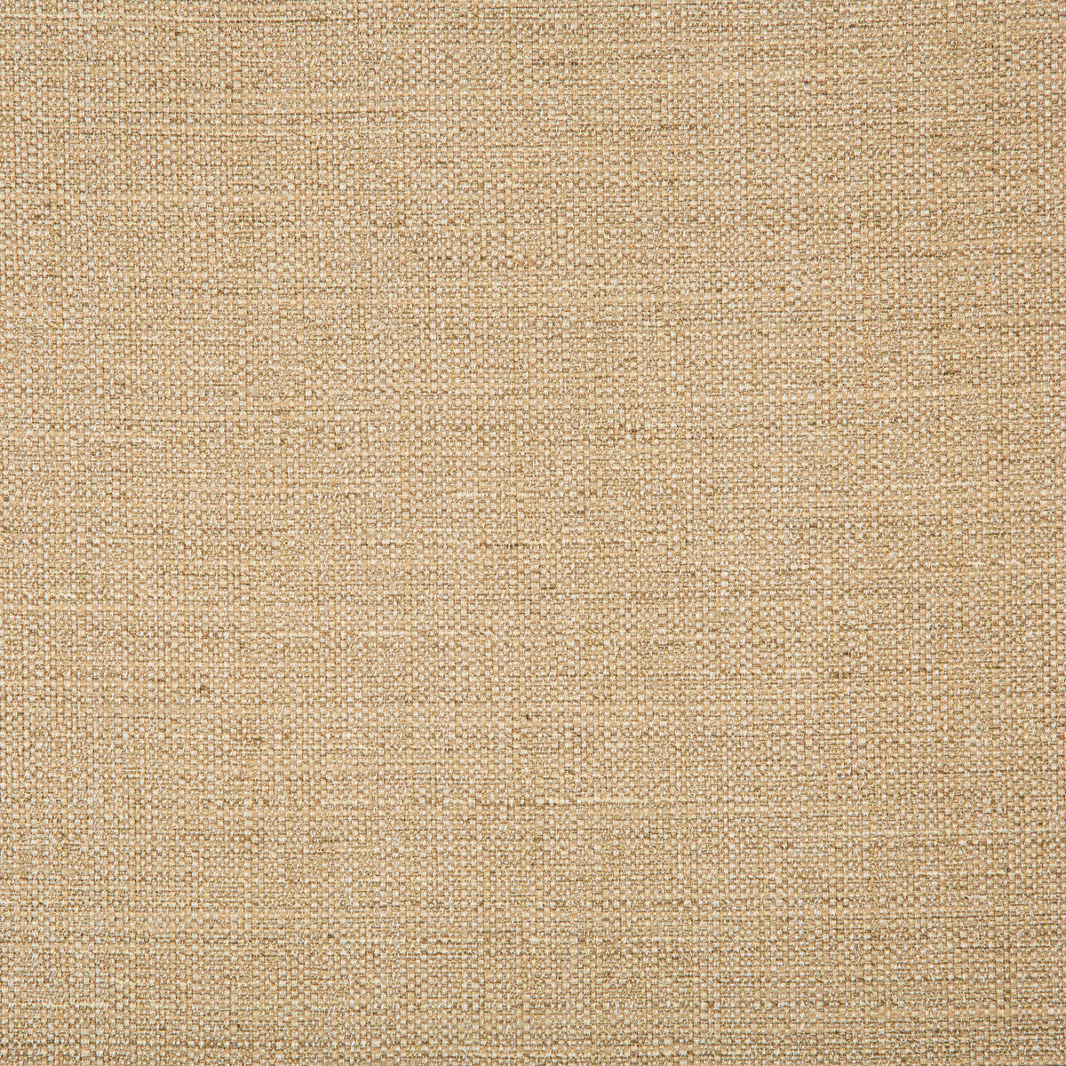 Kravet Basics-4665-1616