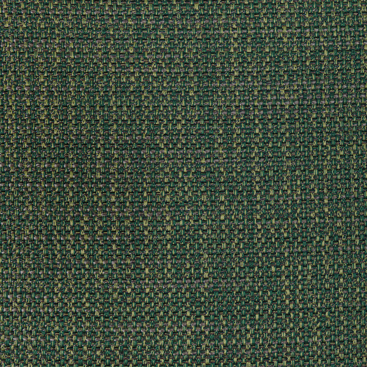 Luma Texture-Forest