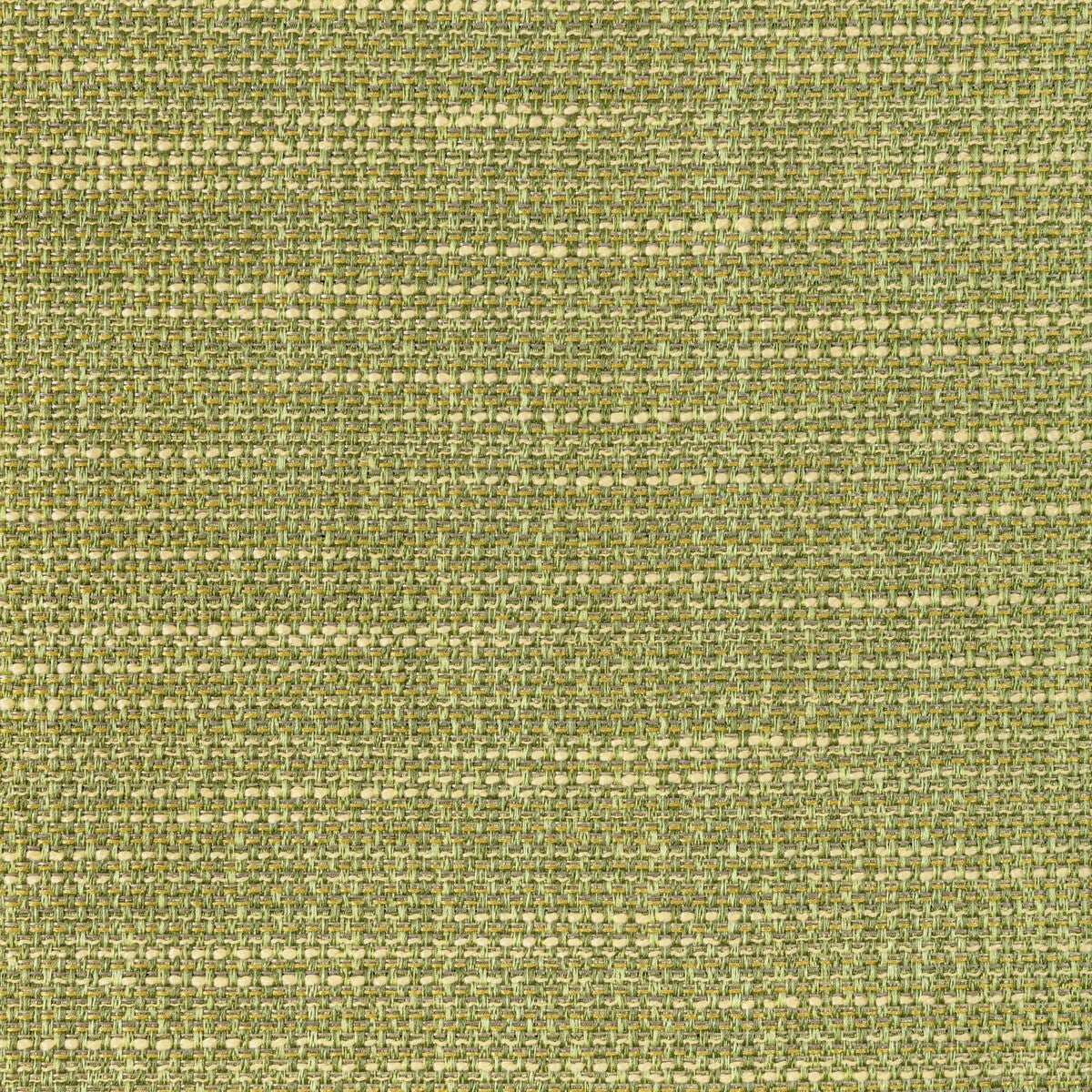 Luma Texture-Cactus