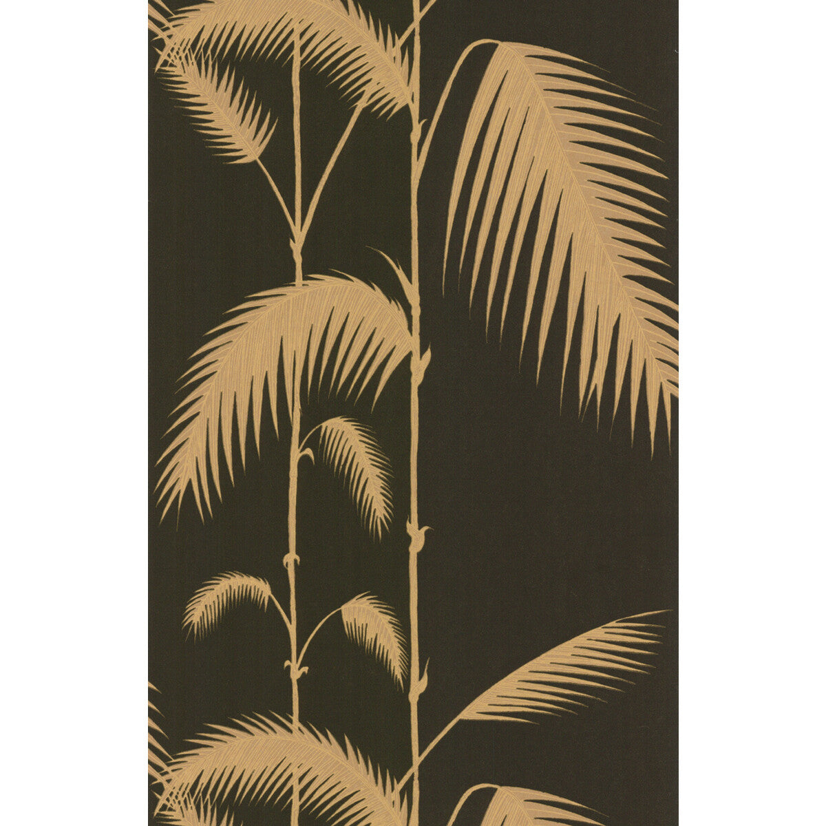 Palm Leaves-Black/T