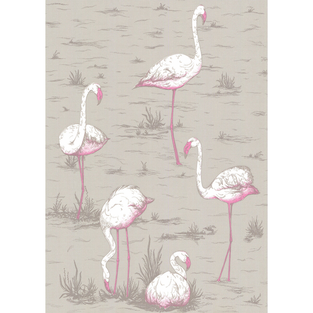 Flamingos-Grey