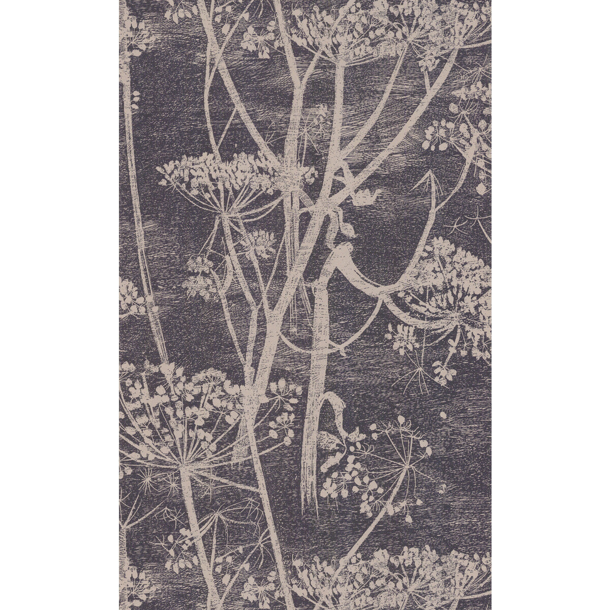 Cow Parsley-Taupe/B