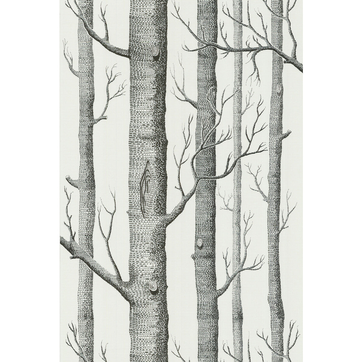 Woods-Onyx/White