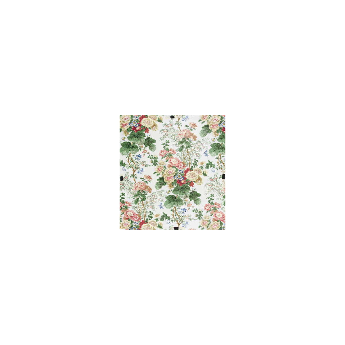 Hollyhock Hdb-White/Coral