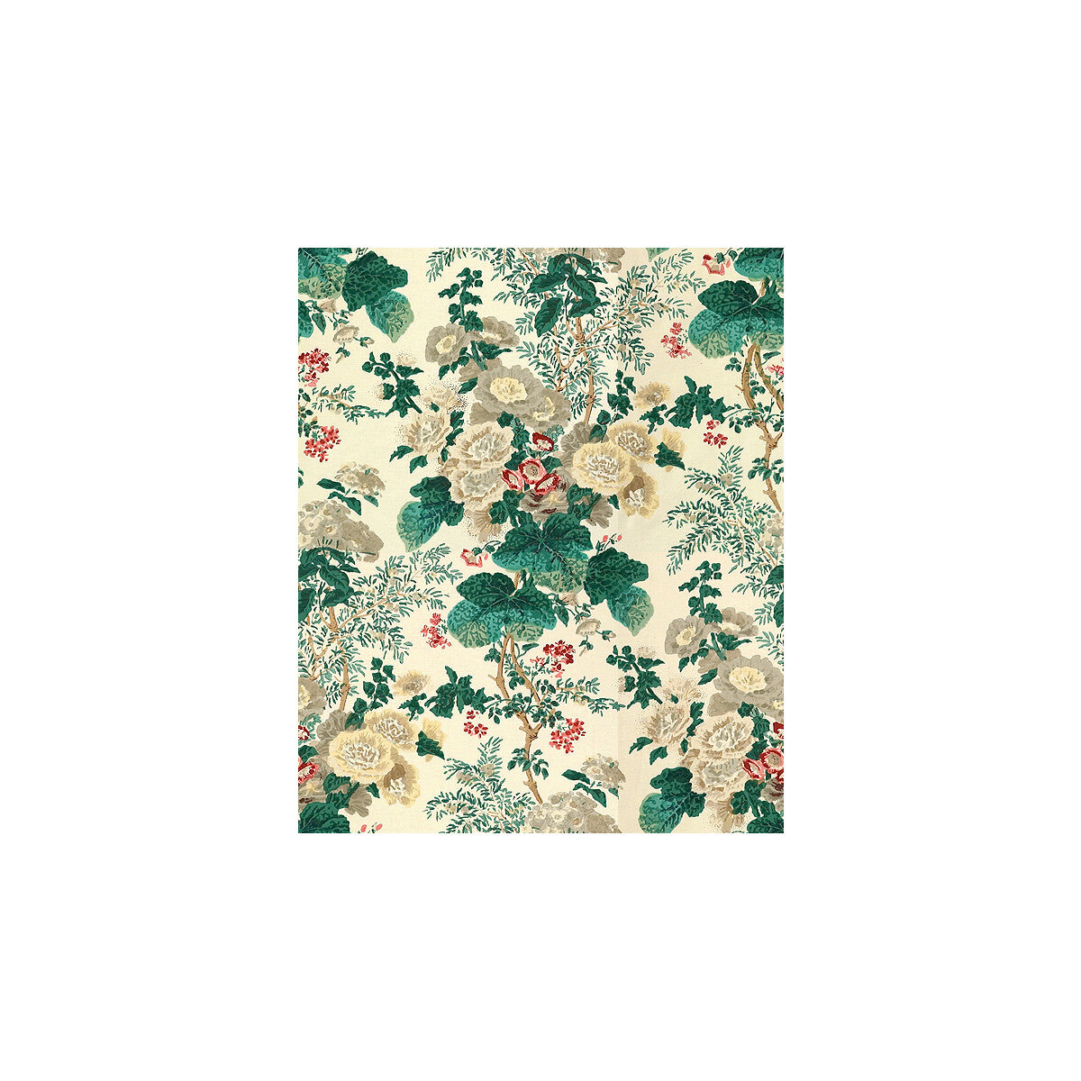 Hollyhock Hdb-White/Brown