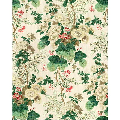 Hollyhock Hdb-White/Brown