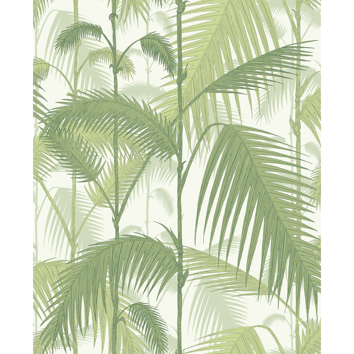 Palm Jungle-Olive Gre/White
