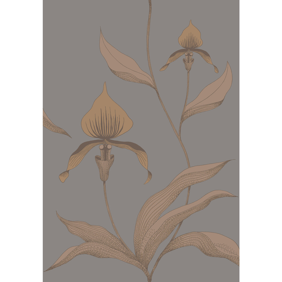 Orchid-Bronze/Slate