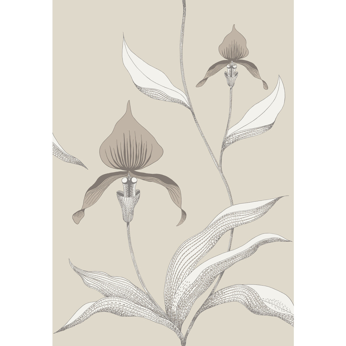 Orchid-Linen/White