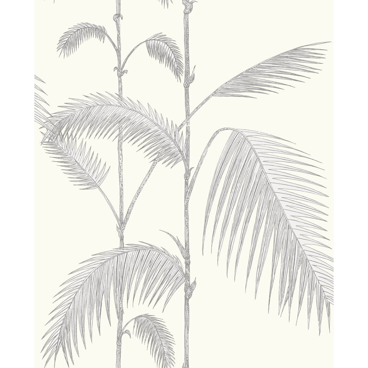 Palm Leaves-Grey/White