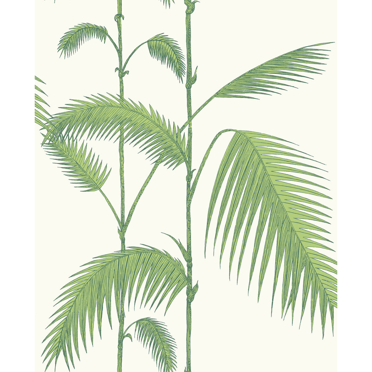 Palm Leaves-Green/White