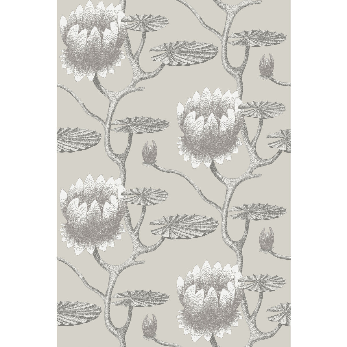 Summer Lily-Taupe/White