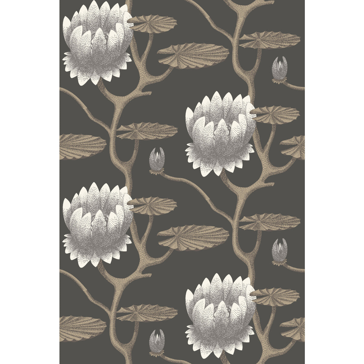 Summer Lily-Blk/Wht/Gold