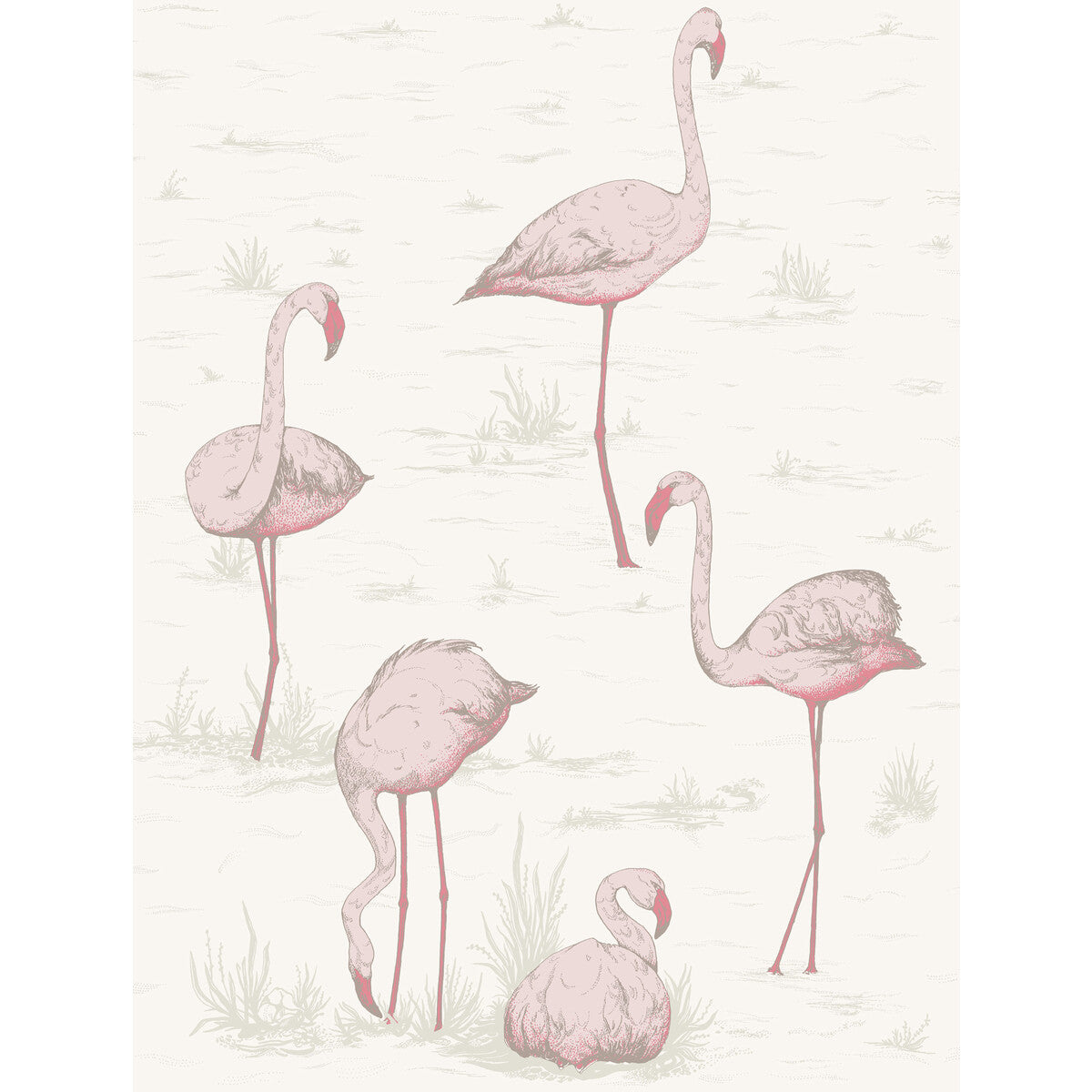 Flamingos-Pink/White