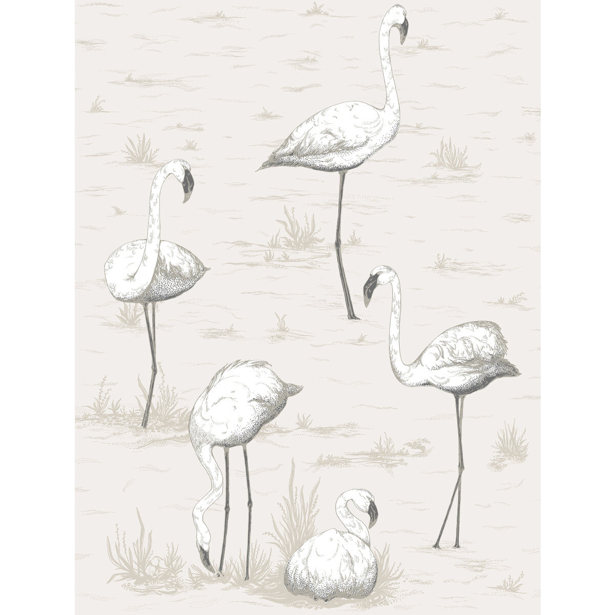 Flamingos-Charcoal/Wht