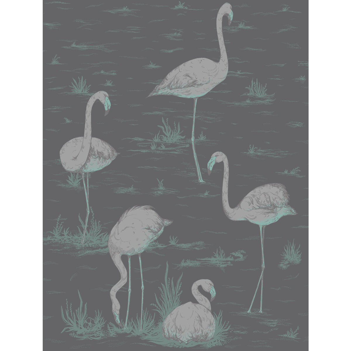 Flamingos-Teal/Slvr/Bk