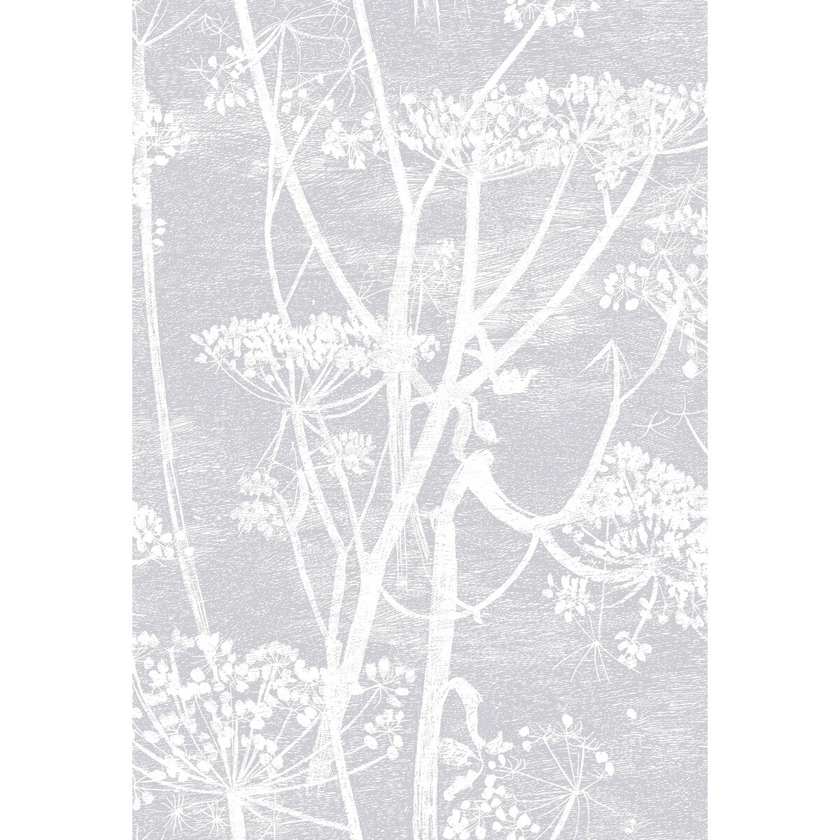 Cow Parsley-Lilac