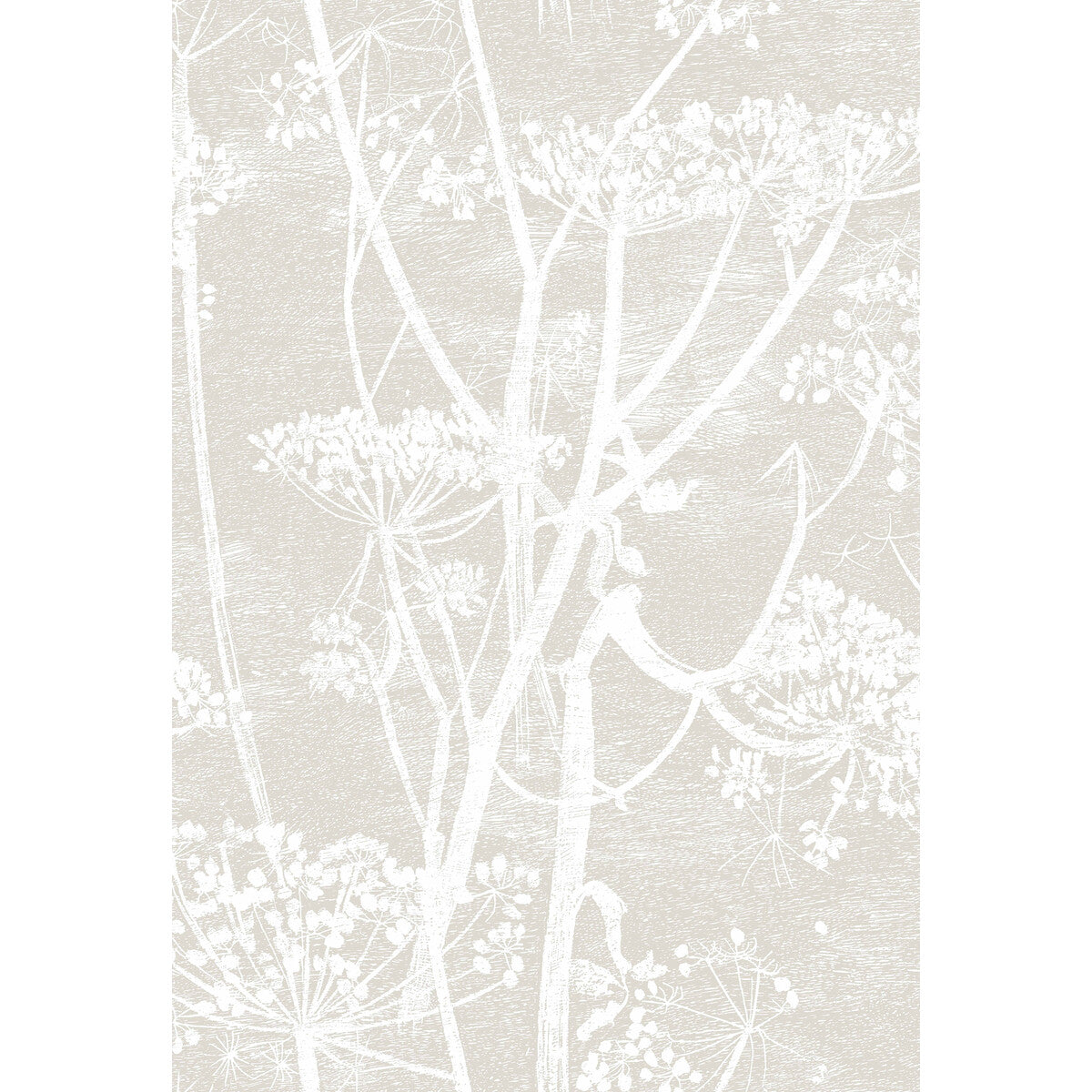 Cow Parsley-Linen/White