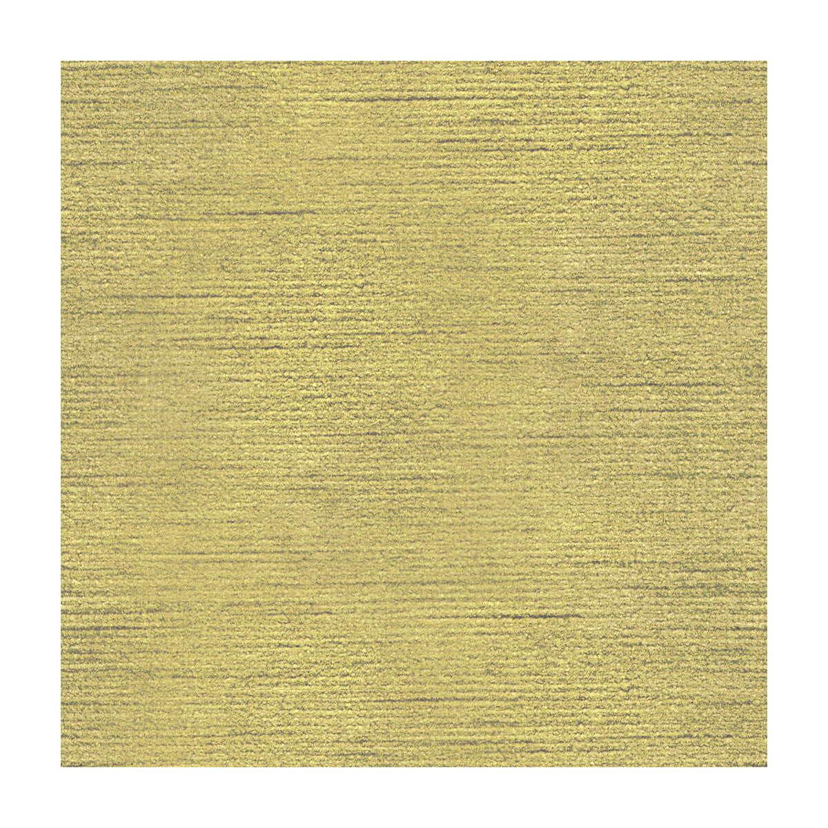 Queen Victoria-Buttercup