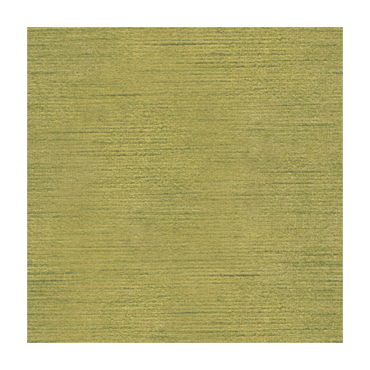 Queen Victoria-Saffron