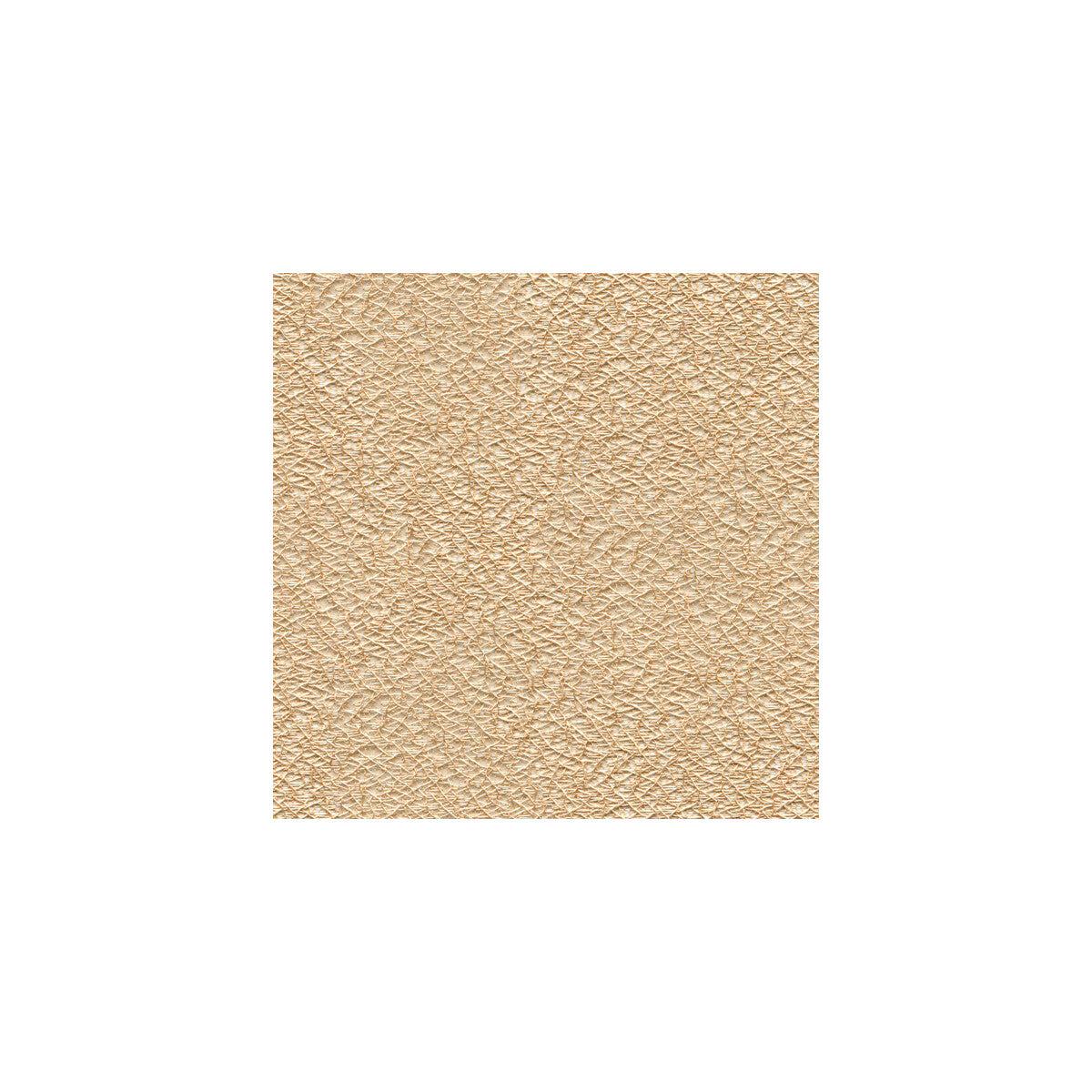 Kravet Basics-9962-16