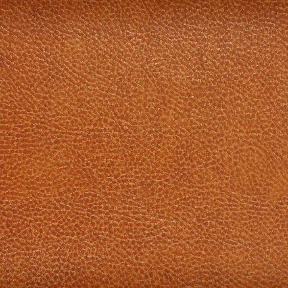 Kravet Design-Acoustic-24