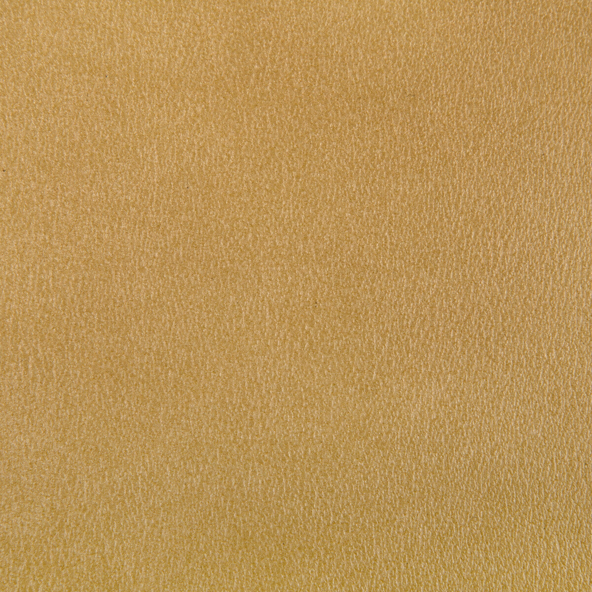 Agatha-Gilt
