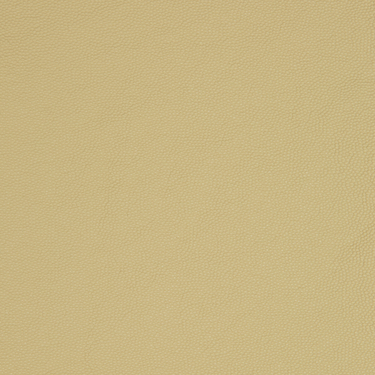 Kravet Smart-Aldwin-16