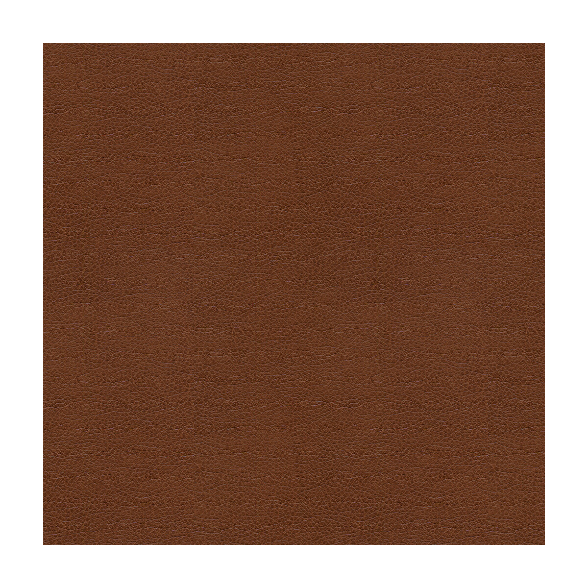 Kravet Smart-Alina-6