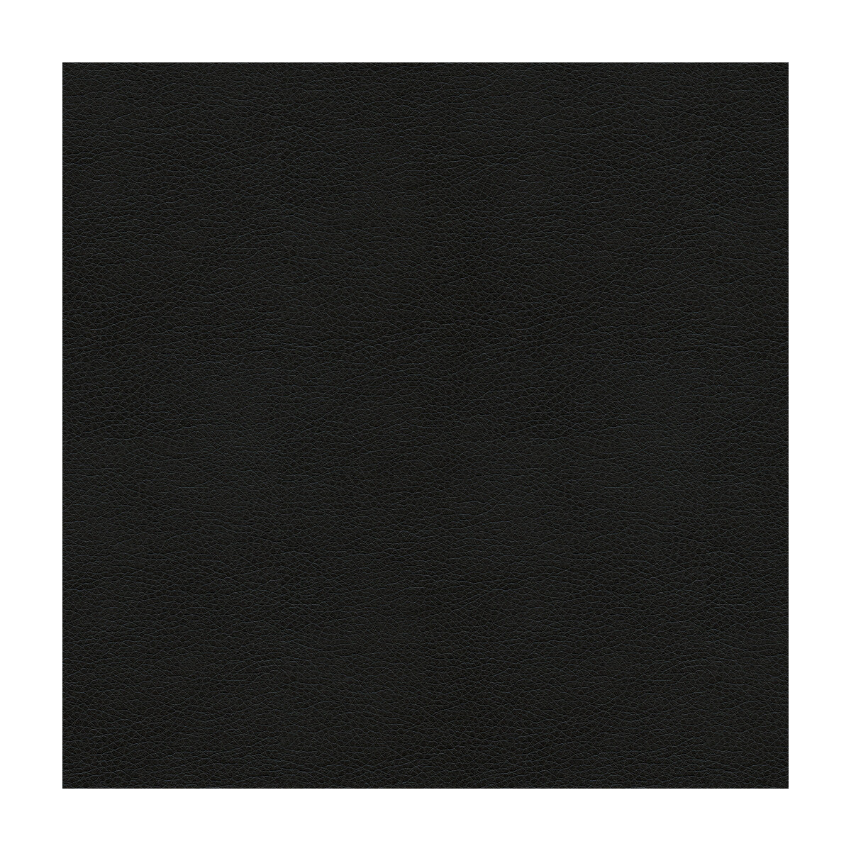 Kravet Smart-Alina-8