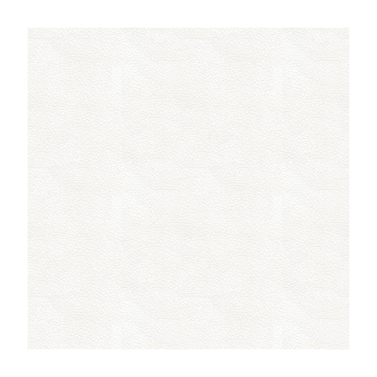 Kravet Design-Ali-101