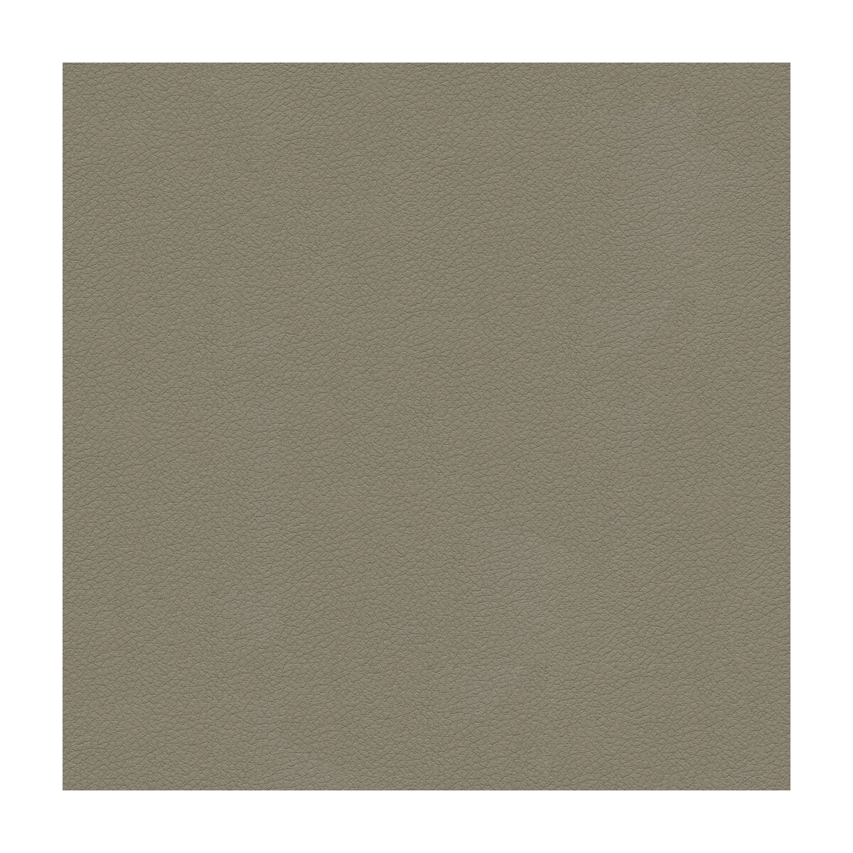 Kravet Design-Ali-11