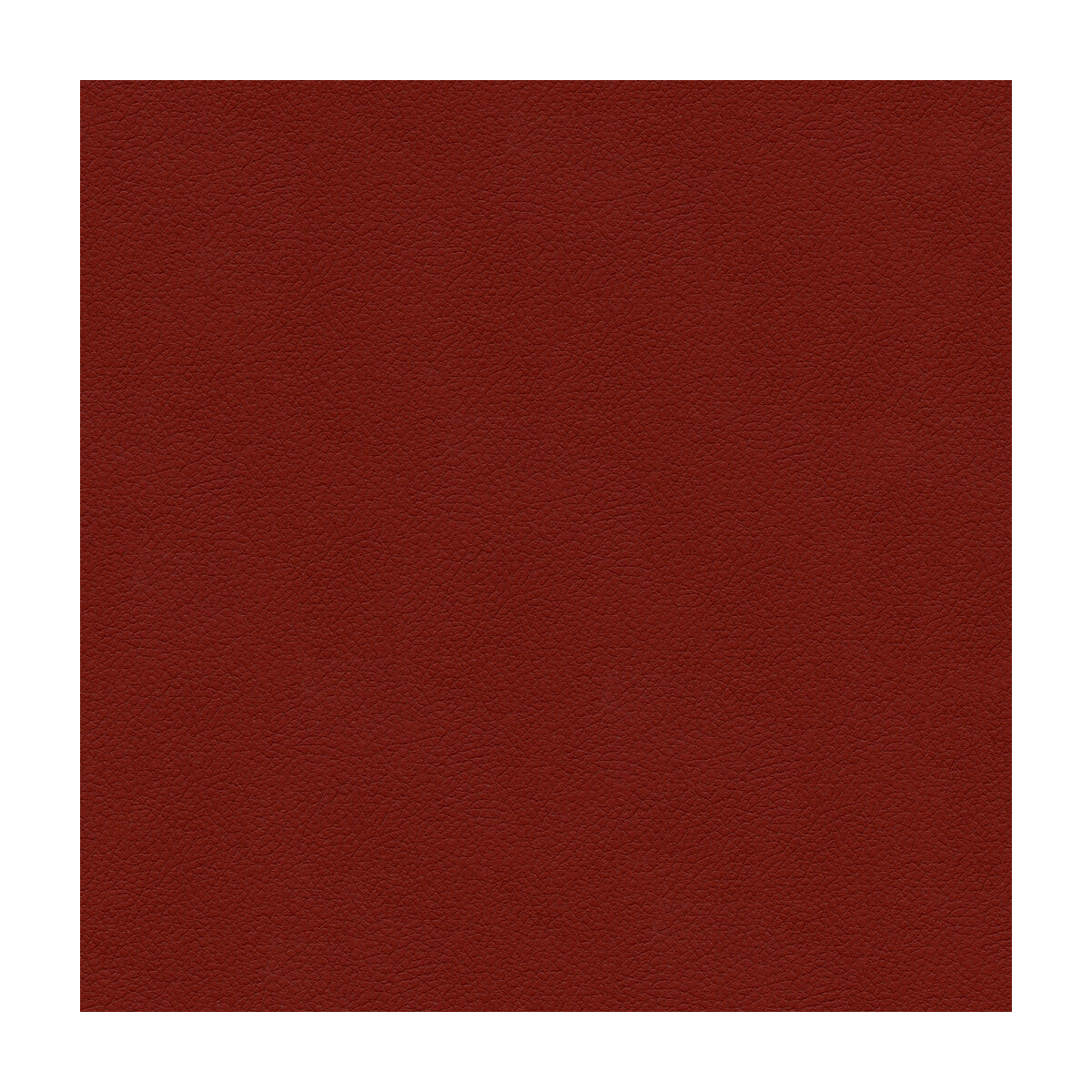 Kravet Design-Ali-19