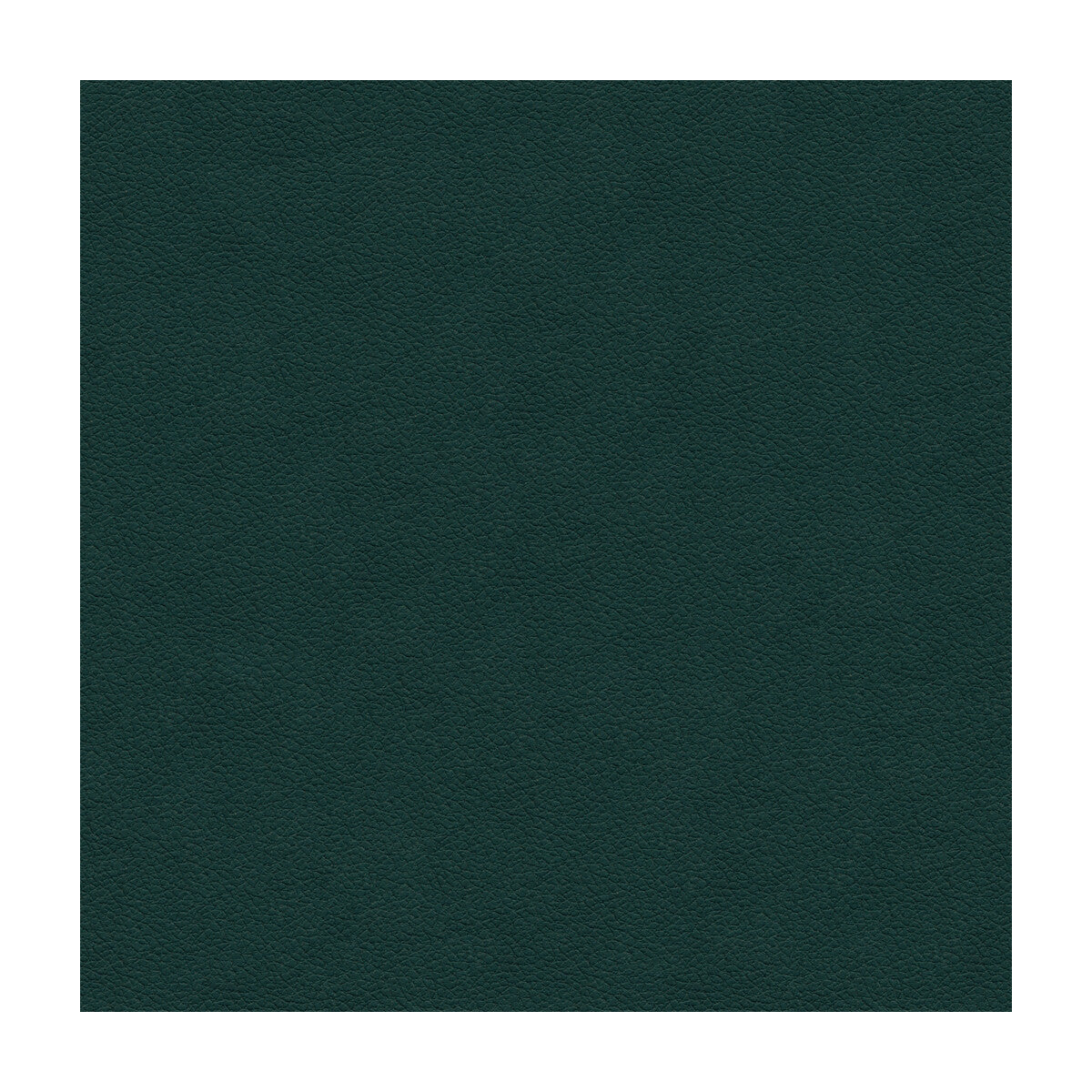 Kravet Design-Ali-53