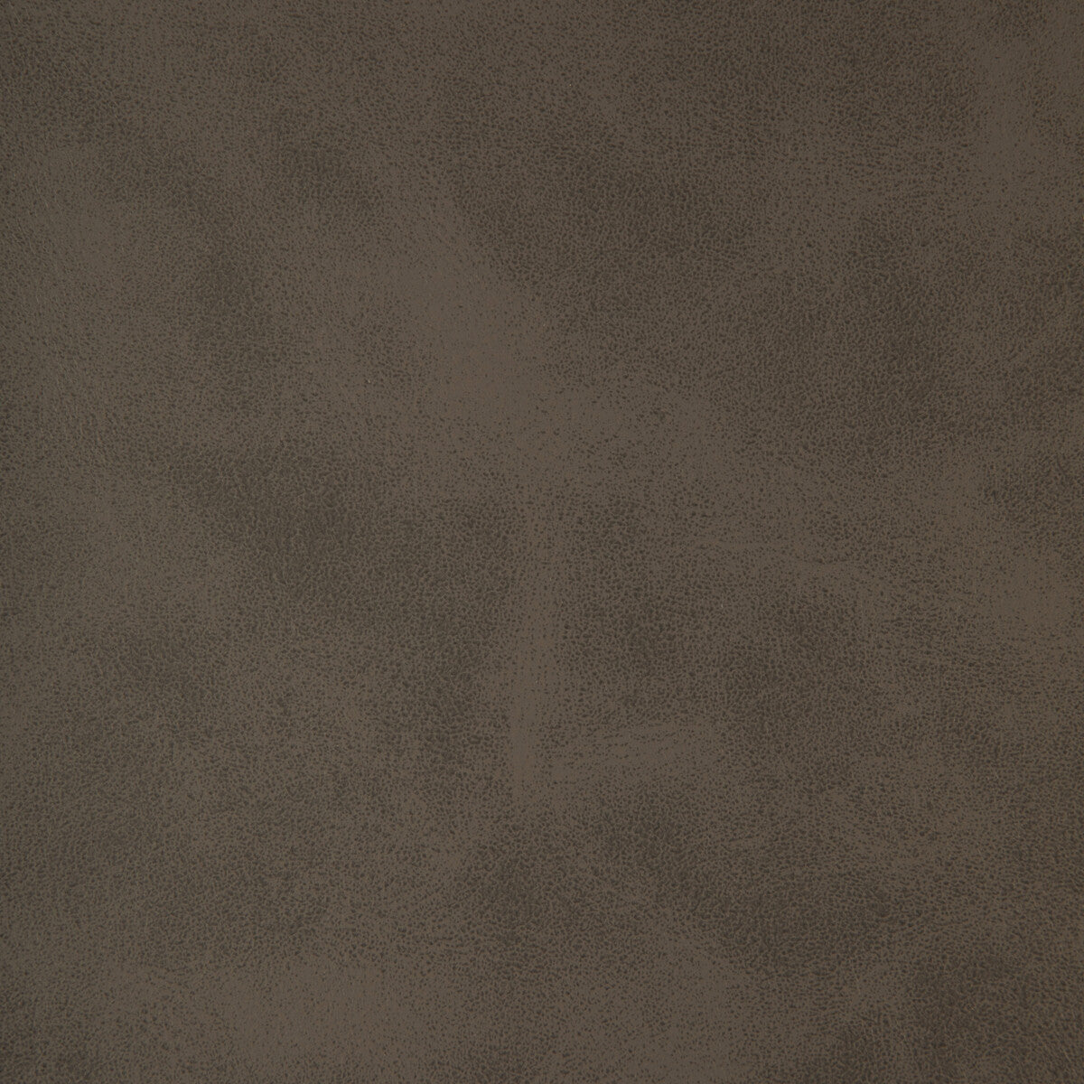 Kravet Design-Alum-11