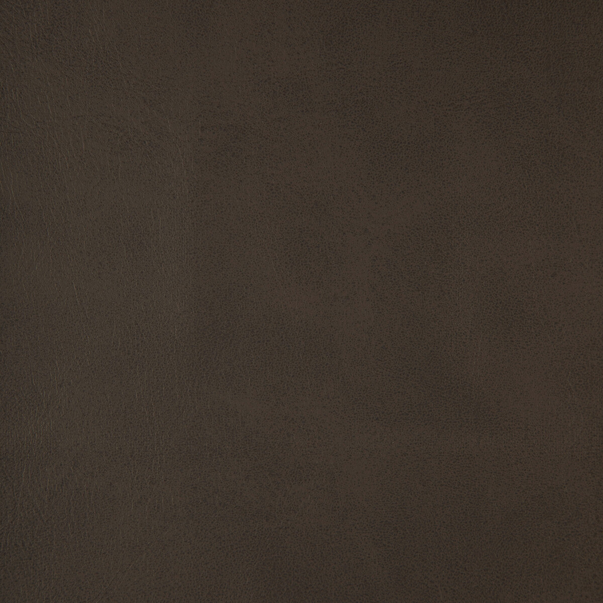 Kravet Design-Alum-21