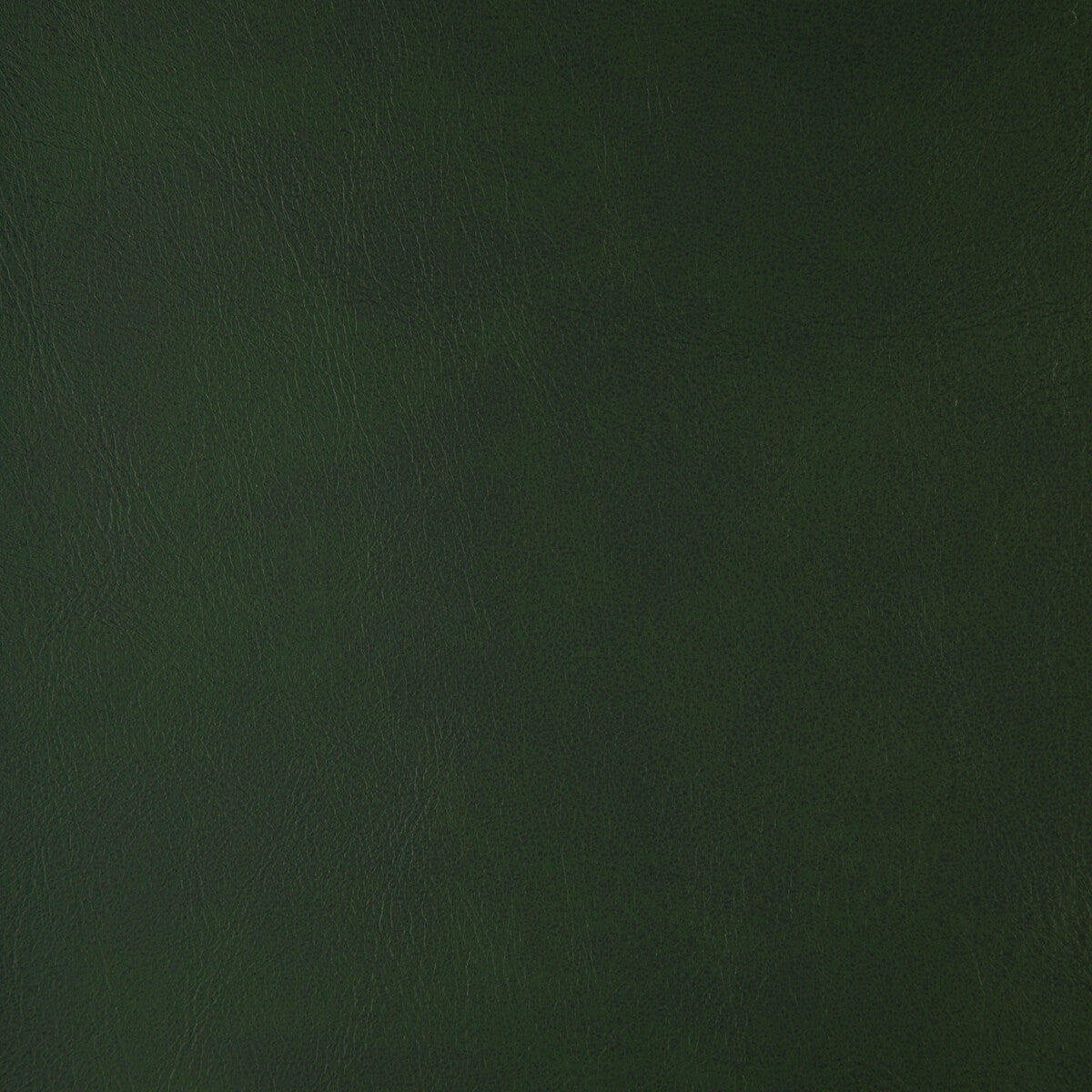 Kravet Design-Alum-33