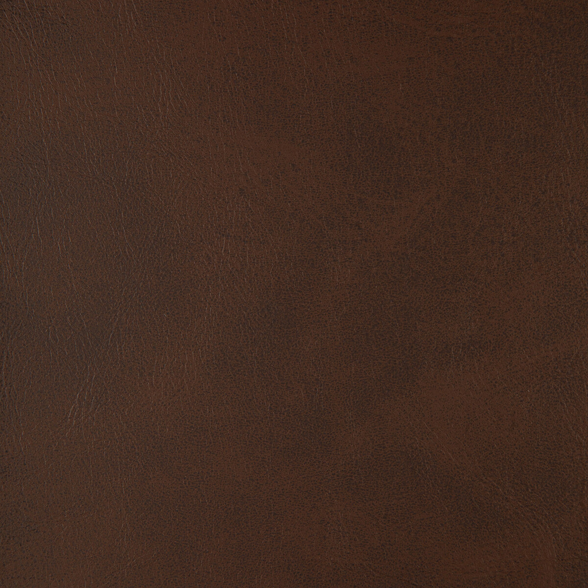 Kravet Design-Alum-66