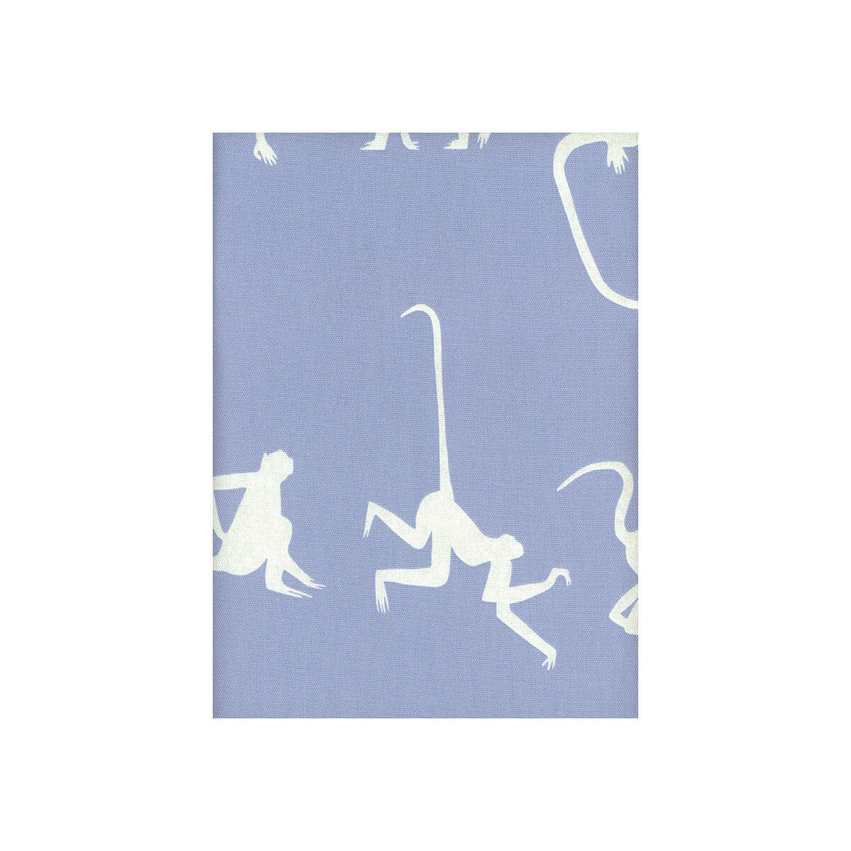 Monkey Puzzle-Bluebell