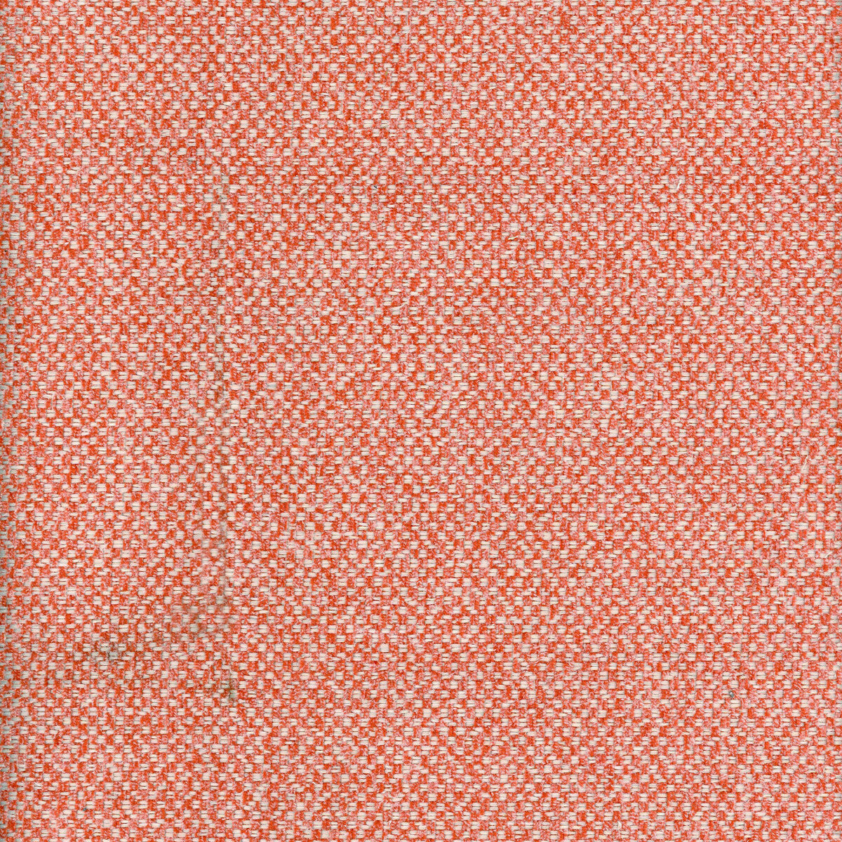 Yosemite-Salmon